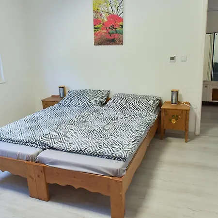 Apartament Boracs Winedeghaz