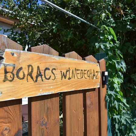 Apartment Boracs Winedeghaz *