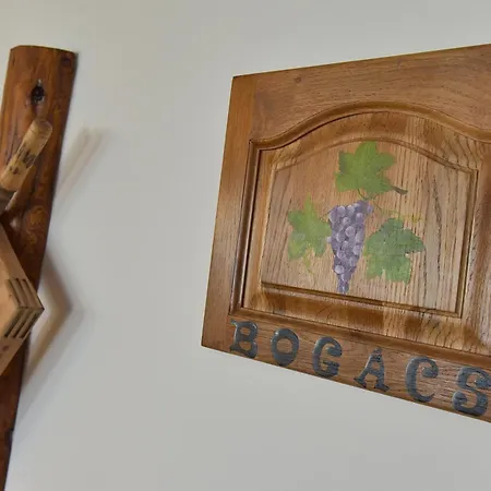 Boracs Winedeghaz 公寓 *