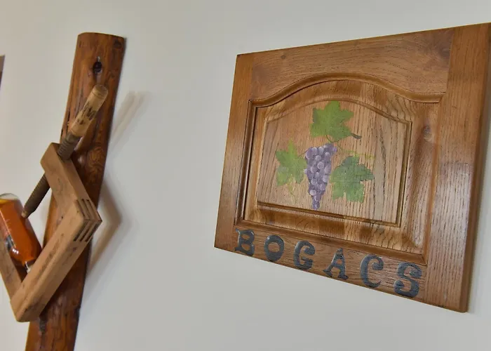 Boracs Winedeghaz Lägenhet *